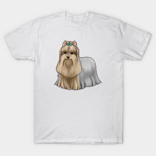 Dog - Yorkshire Terrier - Tan and Blue Show Cut T-Shirt